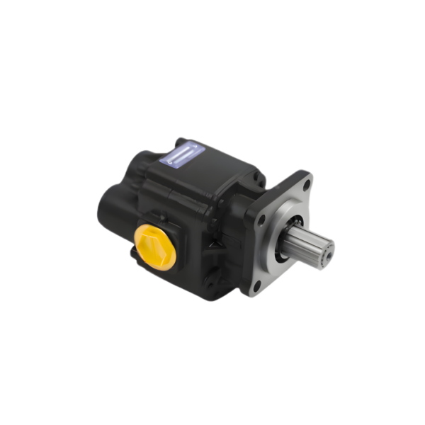 Bomba Engrenagem P30