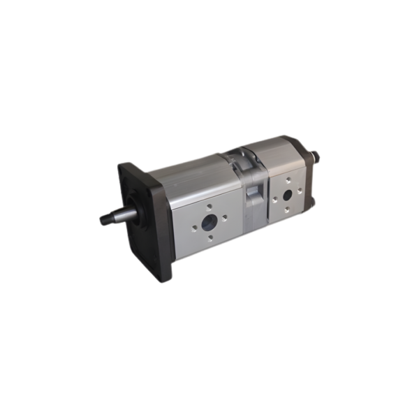 Bomba Dupla com Flange